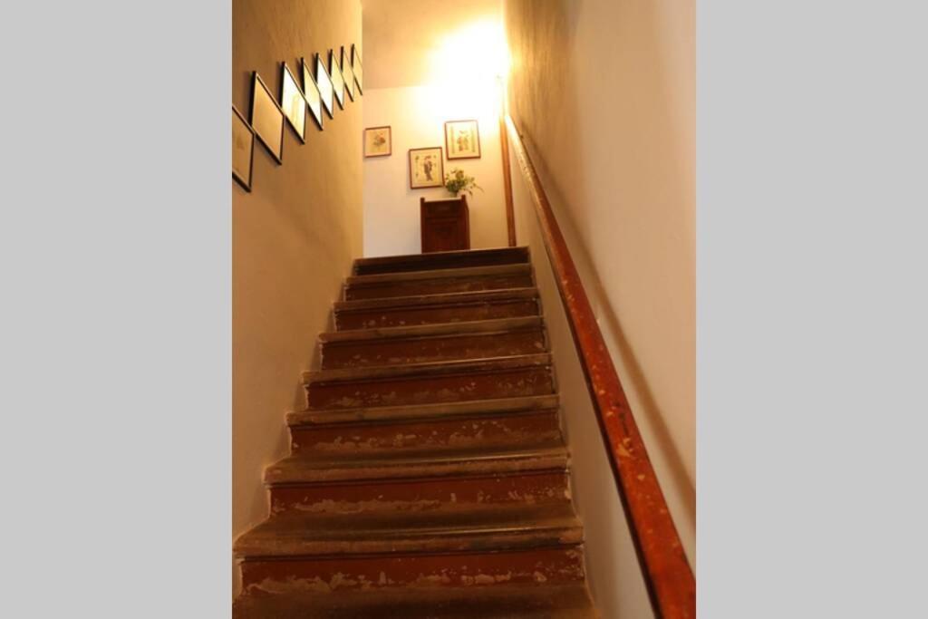 Apartamento Antiche Fonti Bibbona Exterior foto